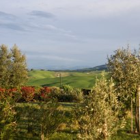 Lajatico Toscana