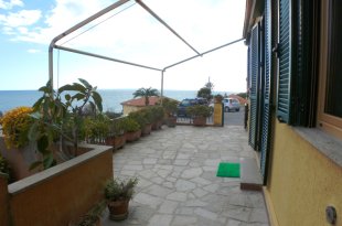 cipressa Liguria