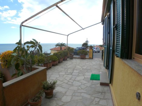 cipressa Liguria