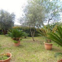 Bordighera Liguria