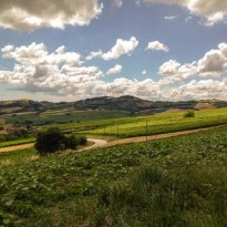 Montalto delle Marche Le Marche