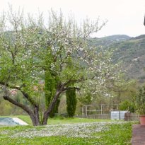 Acqualagna Le Marche